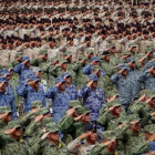 FGs49qwvjiOLmNUKdjLb.png