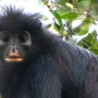 oFyYCTv0h9O9J4InvdDS.png